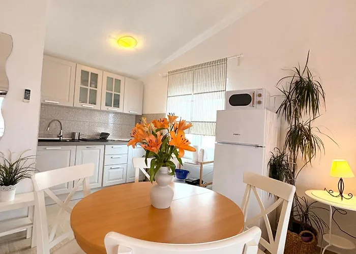 Ino Пакоштане